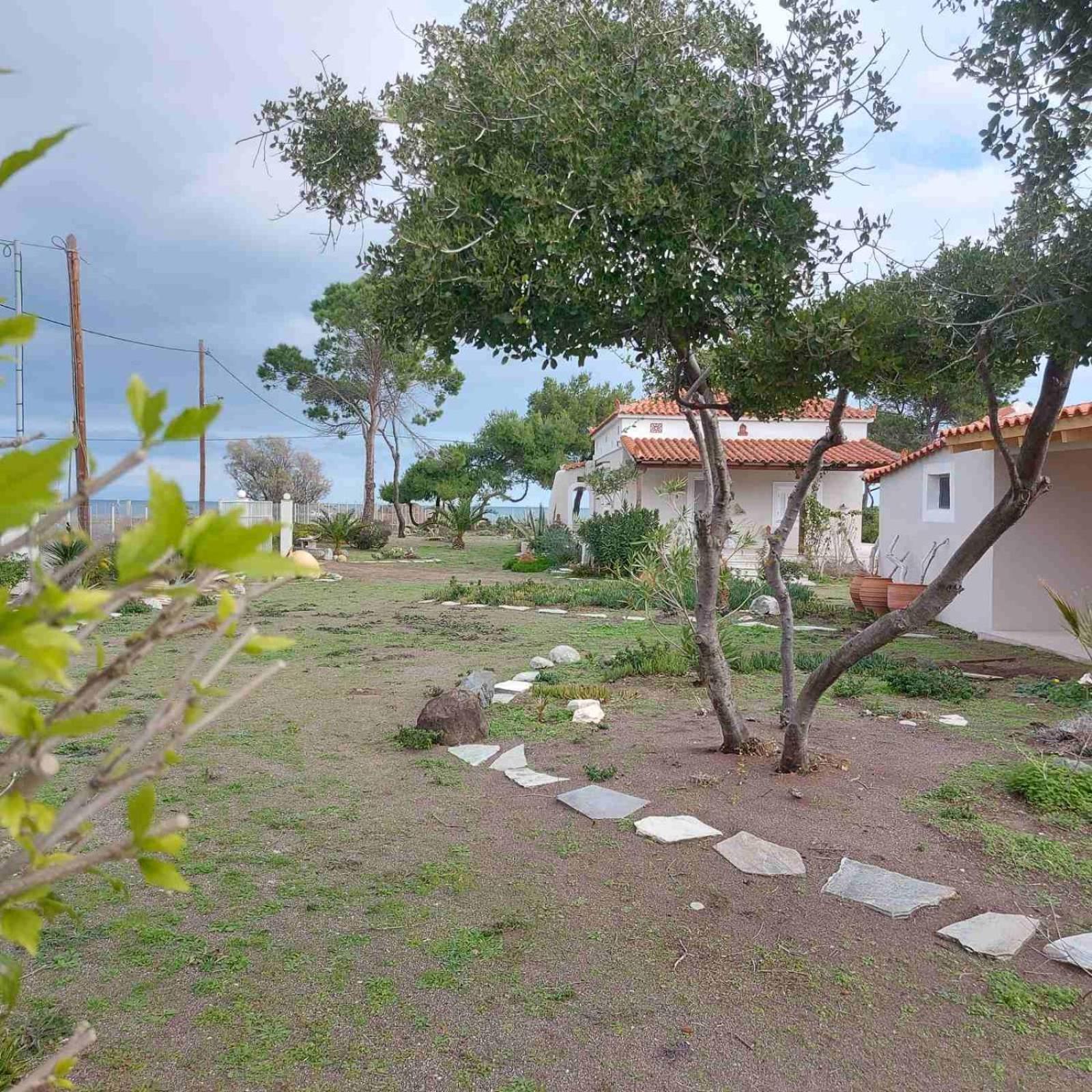Vintage Beach House Agia Anna  Bagian luar foto